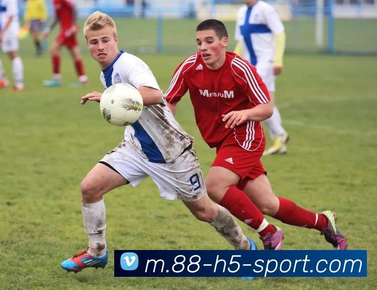 88体育APP 封面图